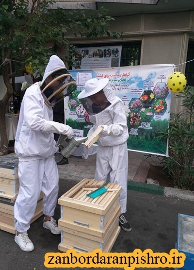 برگزاری روز جهانی زنبور عسل