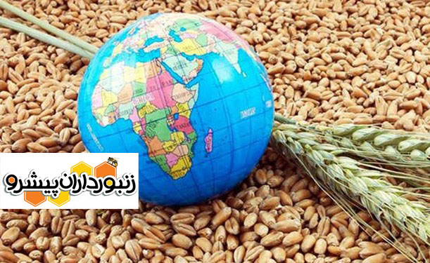 امنیت غذایی جهان شکننده تر شد/اقتصاد جهان تحمل جنگ جدید را ندارد