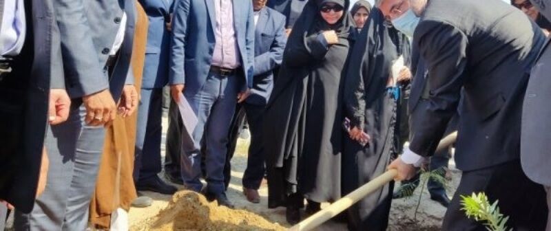وزیر جهاد کشاورزی برتحقق کاشت یک میلیارد درخت در کشور تاکید کرد