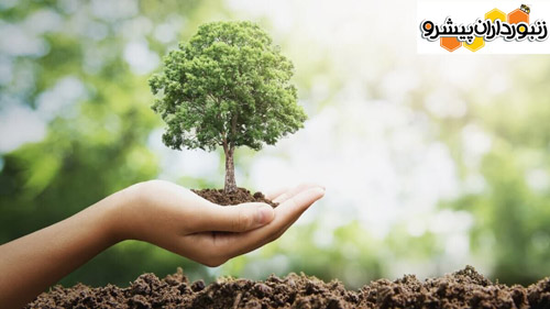 مدیرکل دفتر آموزش، ترویج و مشارکت مردمی خبر داد: انعقاد ۹ تفاهم‌نامه همکاری با دستگاه‌های کشور برای کاشت یک میلیارد درخت
