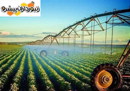 عضو کمیسیون کشاورزی مجلس شورای اسلامی: افزون بر ۱۶۳ هزار میلیارد تومان از بودجه امسال به بخش کشاورزی اختصاص یافت