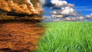 رئیس پژوهشکده حفاظت خاک و آبخیزداری مطرح کرد؛ تغییرات اقلیمی تهدیدی برای امنیت غذایی و کشاورزان خرد