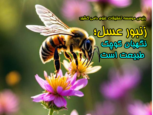 رئیس موسسه تحقیقات علوم دامی کشور: زنبور عسل؛ نگهبان کوچک طبیعت است